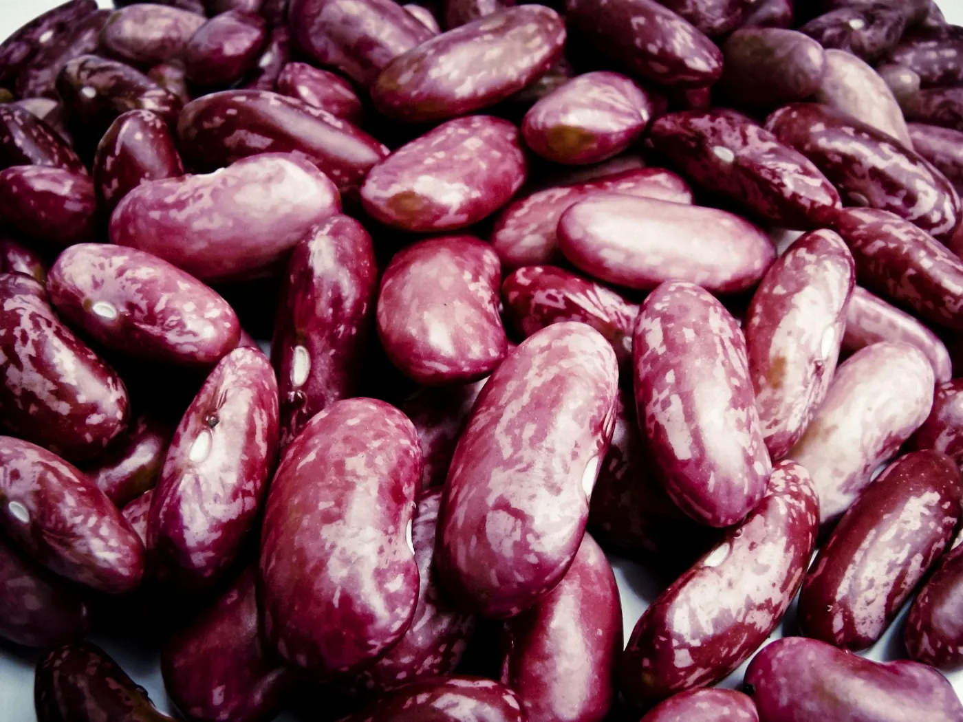 A spread of dried beans in many colours and patterns on a dark surface.