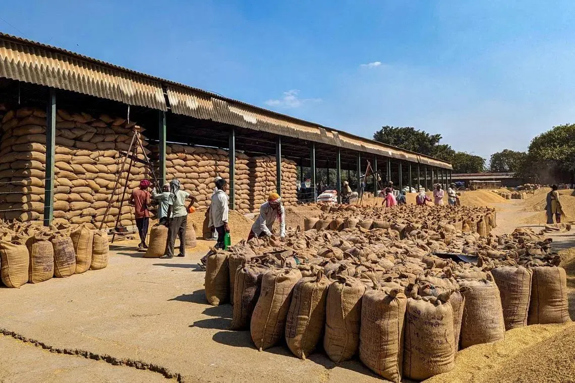 Sacks of graded produce stacked at an Indian mill, ready for dispatch.